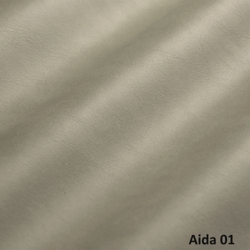 Aida 01
